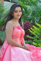 Padmini Gallery